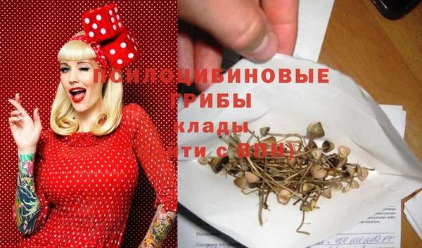 прущий лед Балахна